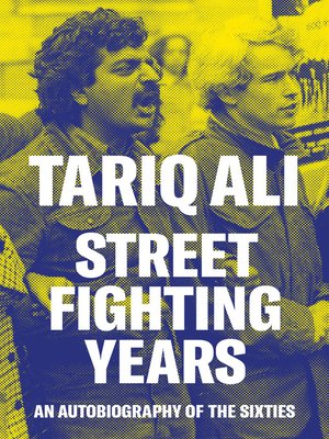 cover image of Street Fighting Years